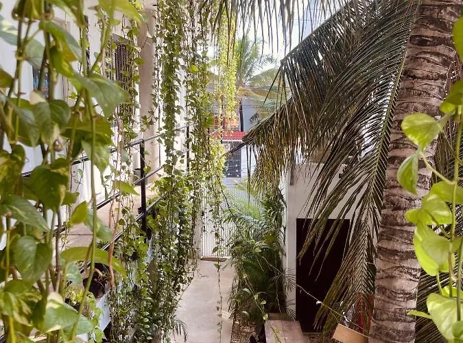 Anana Coliving