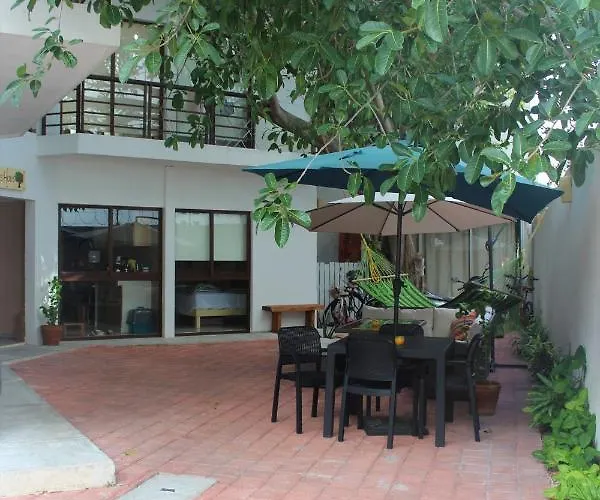 Opis Haus