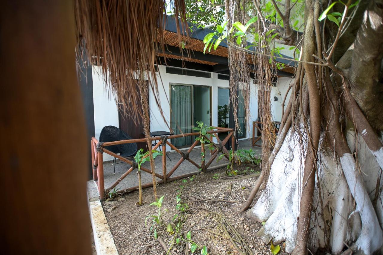 Kinta Playa del Carmen