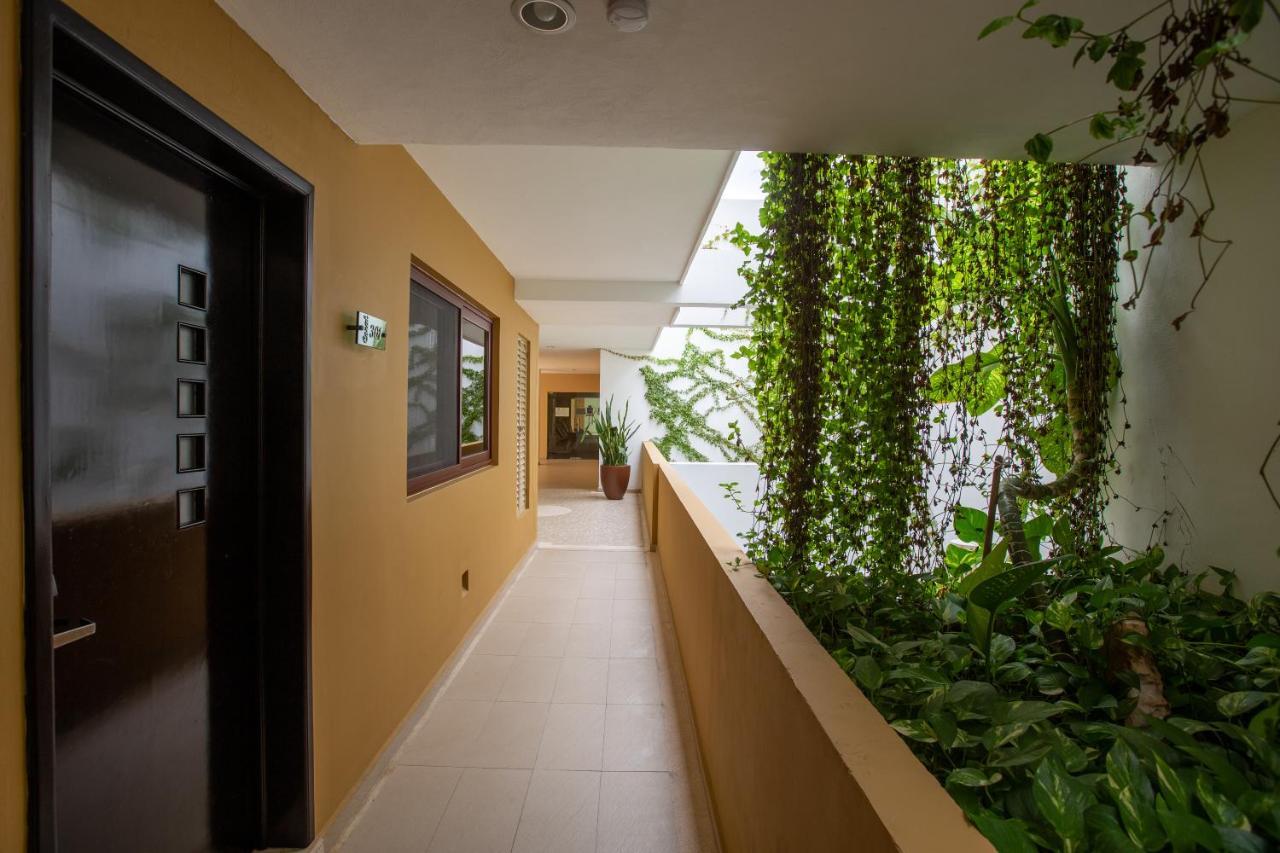Apartamento El Faro 301 Coral
