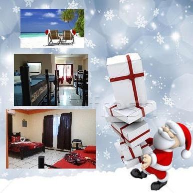 Hostel Alme Playa del Carmen