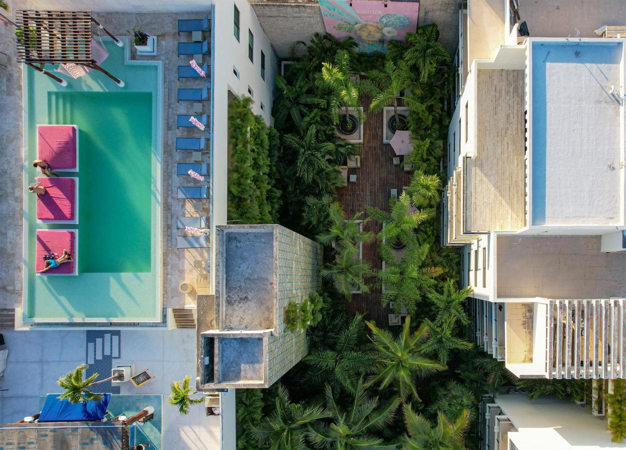 The Palm (adults Only)