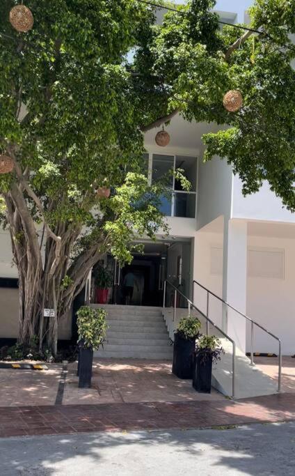 Apartamento Hermoso Departamento En