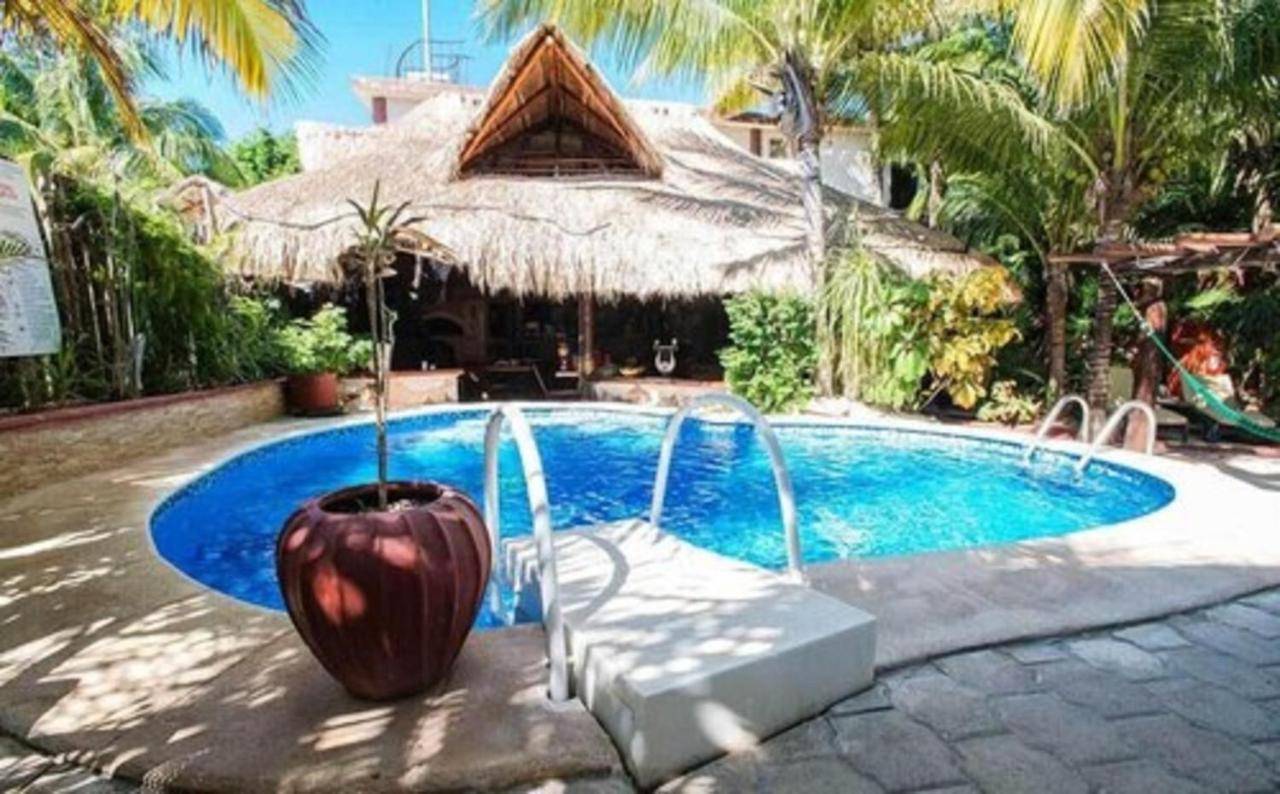 Cocos Adults Only 3* Playa del Carmen