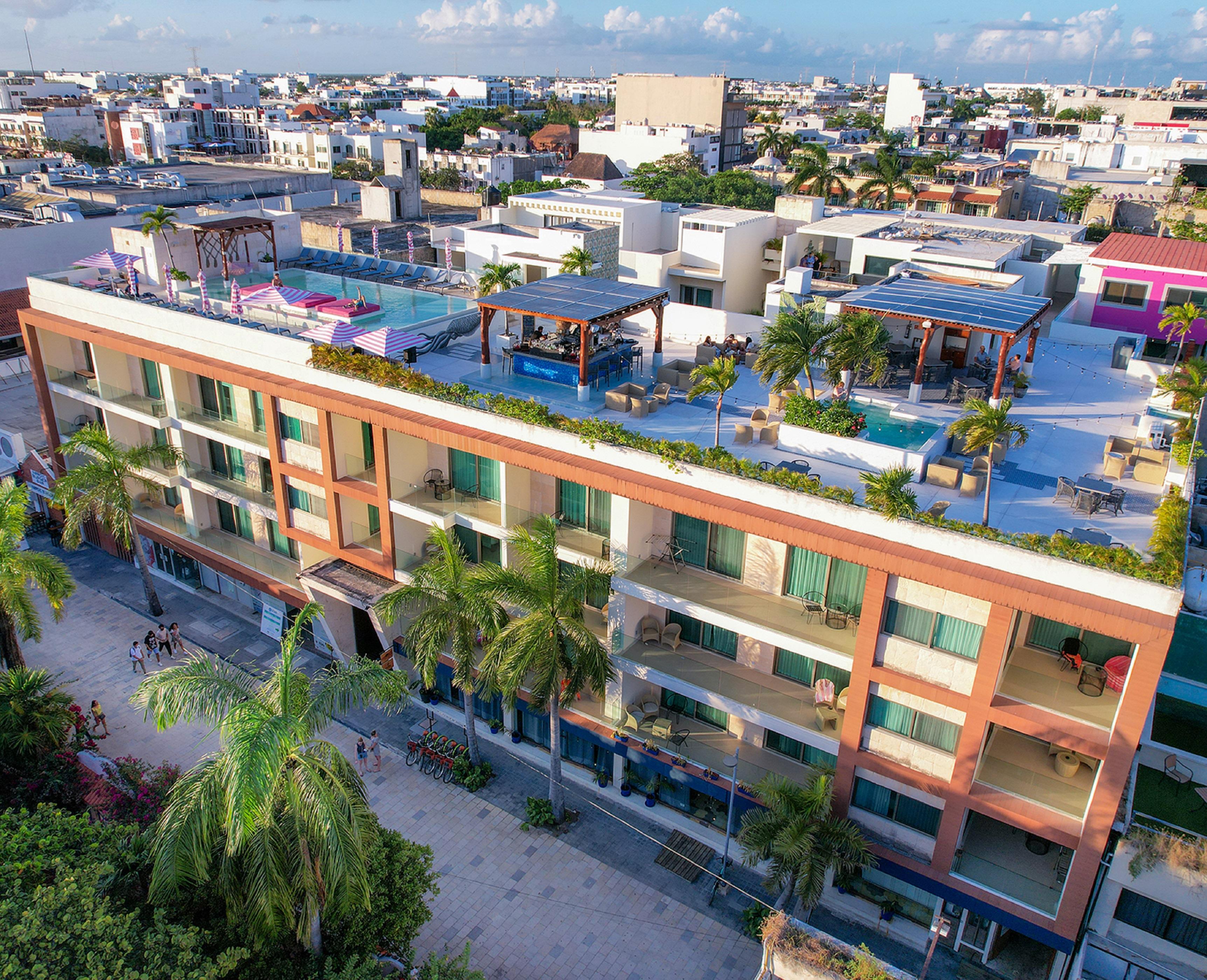 The Palm (adults Only) Hotel