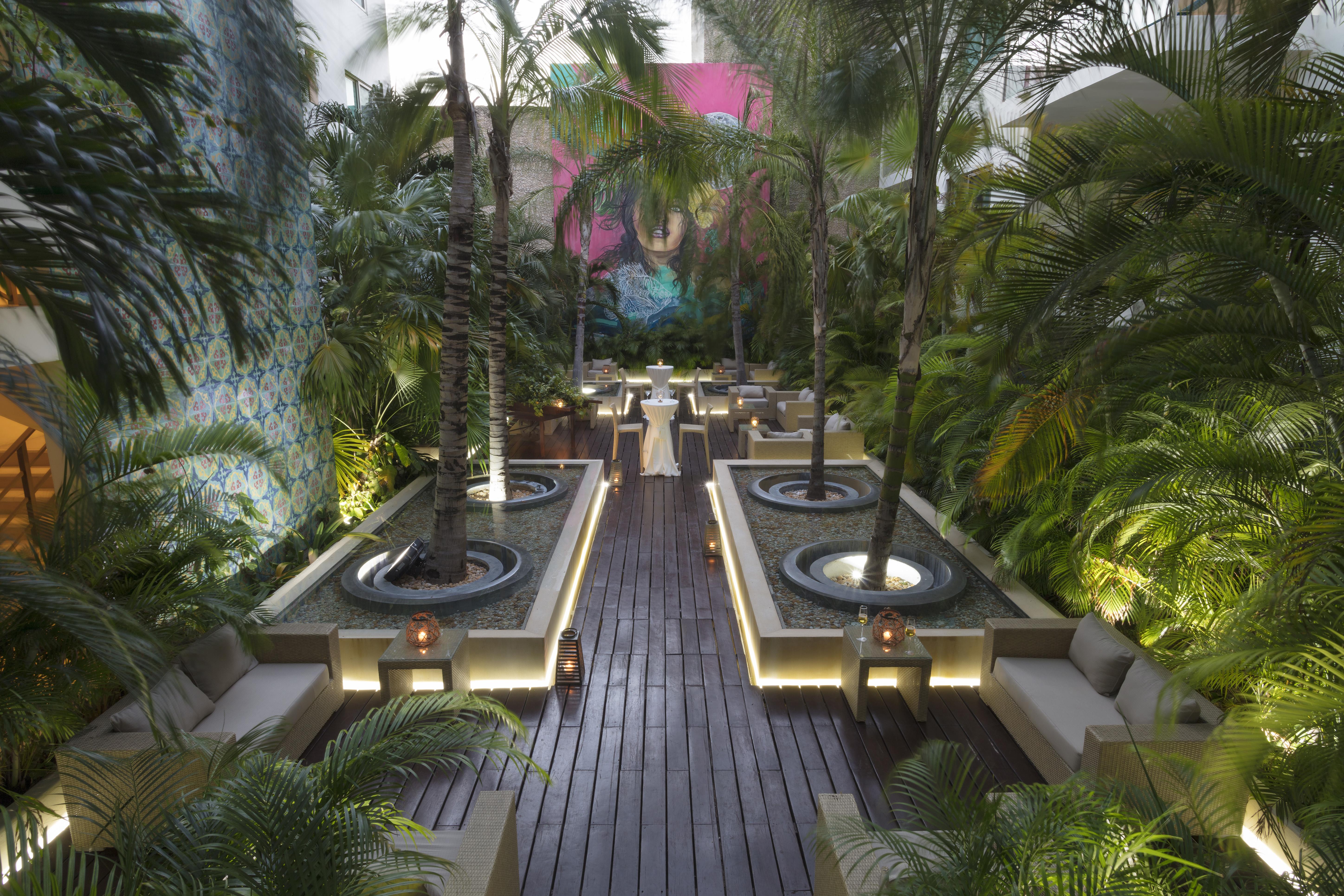 The Palm (adults Only)