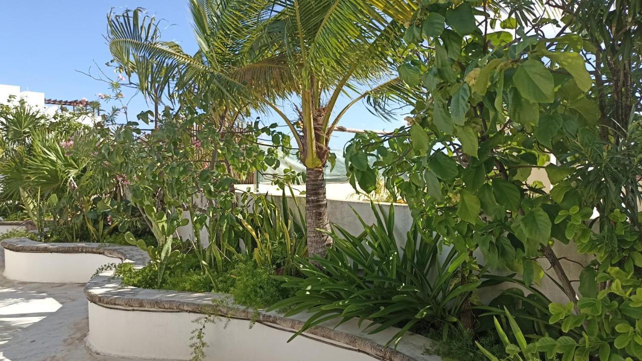 Apartment Encanto Riviera Luxury Playa del Carmen