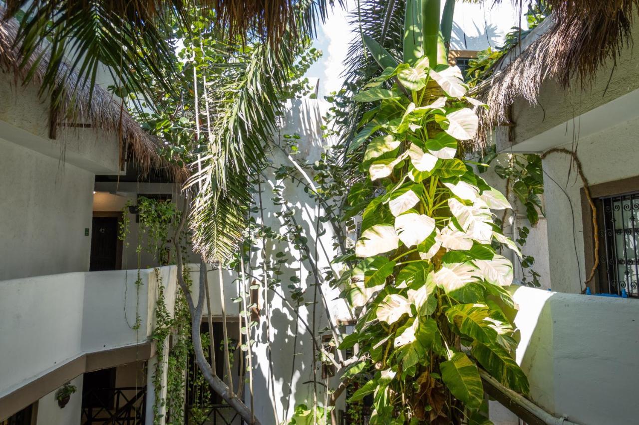 Mariposa Boutique - 5th Avenue Playa del Carmen
