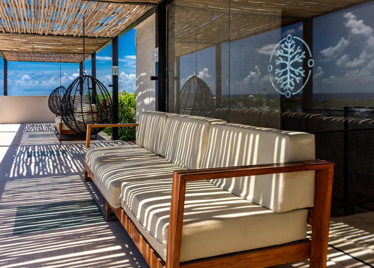 Big At Kaab By The With Roof Pool, Sauna And Jacuzzi Near Paseo Del Carmen Mall *