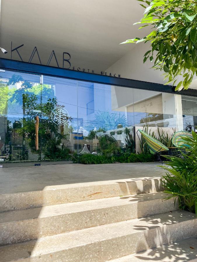 Big At Kaab By The With Roof Pool, Sauna And Jacuzzi Near Paseo Del Carmen Mall * Playa del Carmen