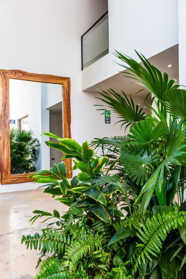Big At Kaab By The With Roof Pool, Sauna And Jacuzzi Near Paseo Del Carmen Mall * Playa del Carmen