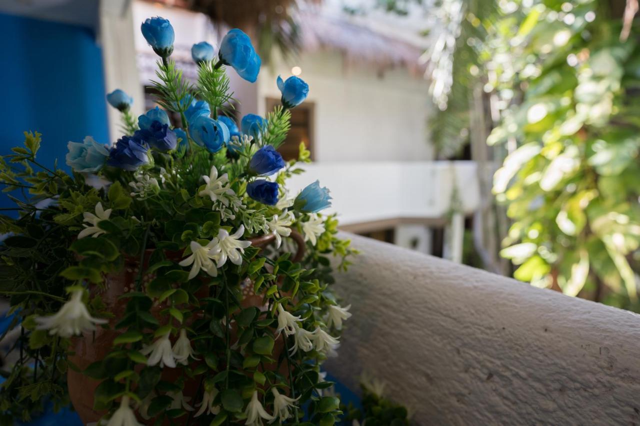 Mariposa Boutique - 5th Avenue Hotel Playa del Carmen
