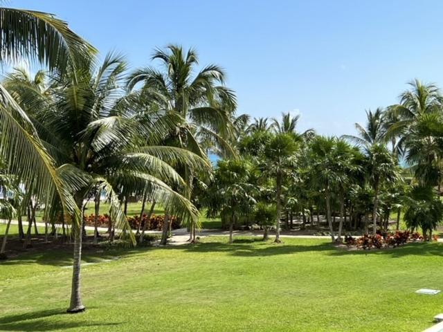 Paradise Villa. Amazing Ocean View Apartment. Apartamento *