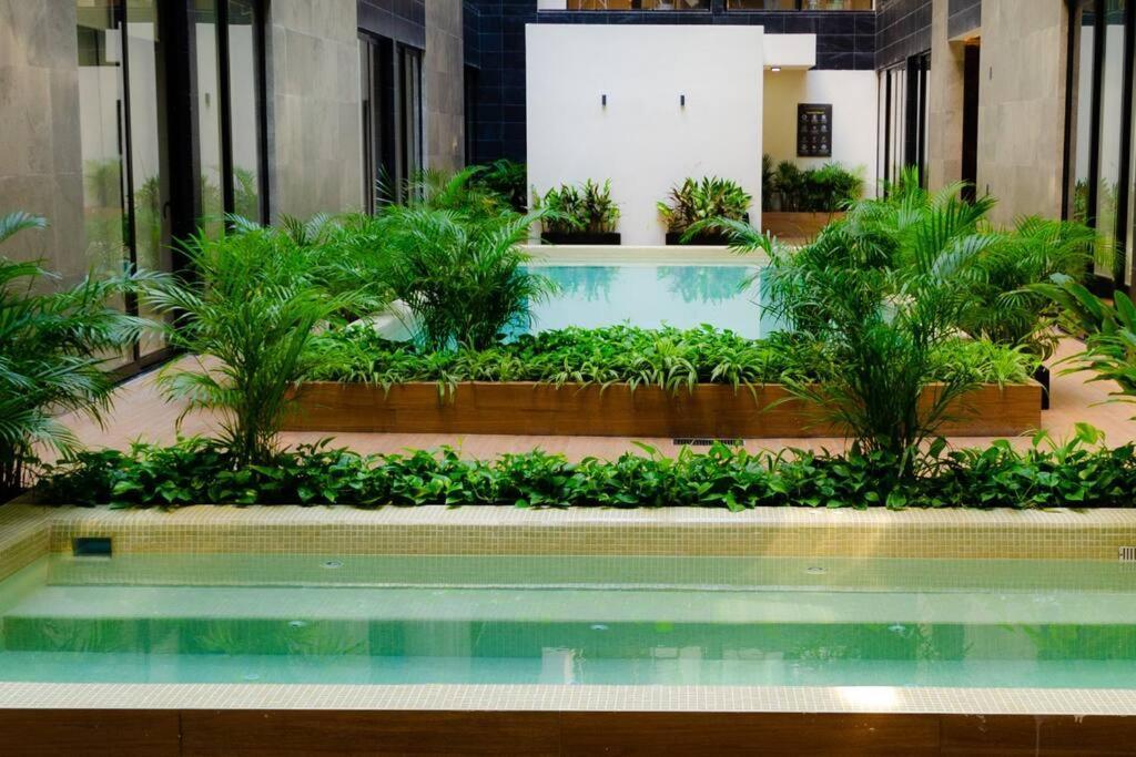 & Ocean View / Pool,jacuzzi & Parking - 423 Musa *