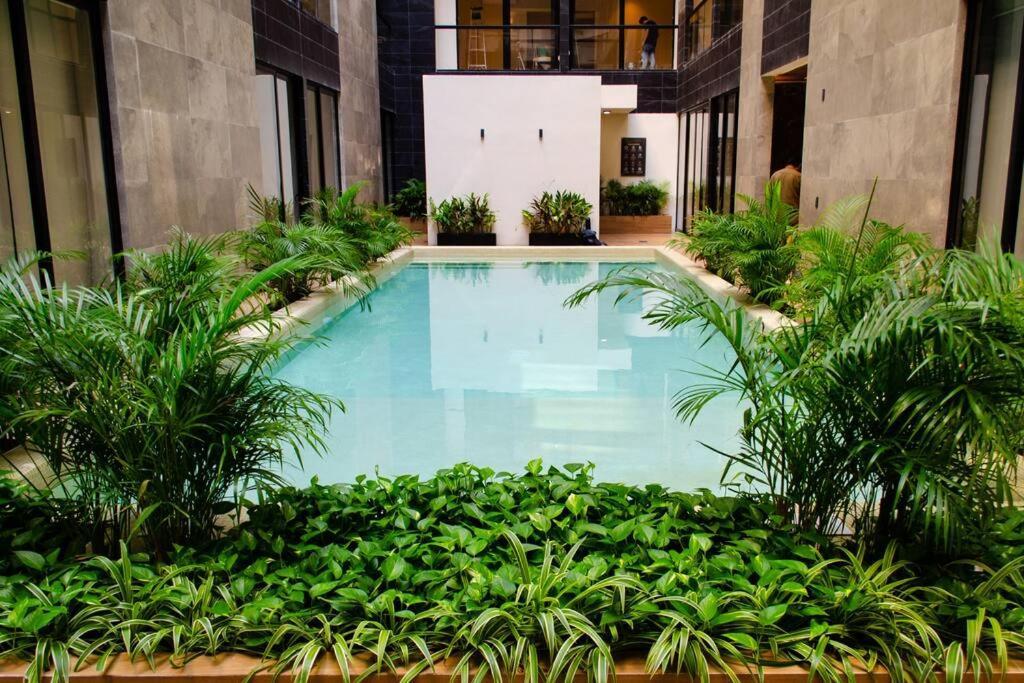 & Ocean View / Pool,jacuzzi & Parking - 423 Musa *