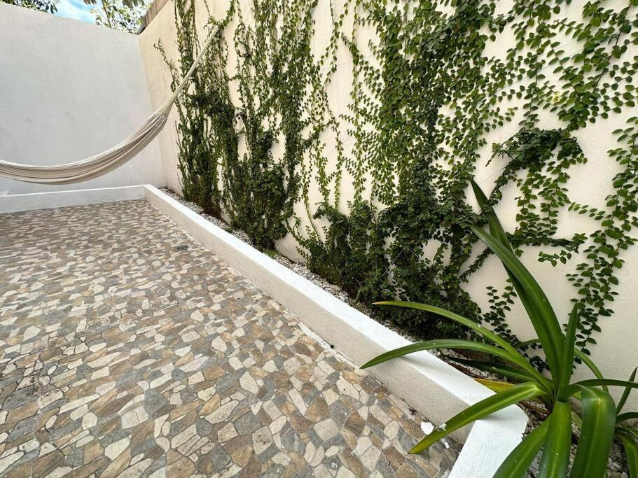 Apartment Depa Xcacel,