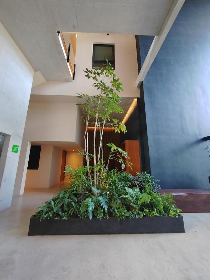 Apartment Incredible & Beautiful Steps From The By Yeah Playa del Carmen