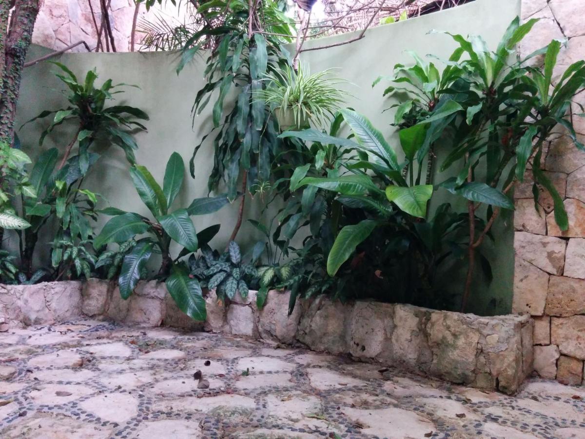 Holiday home Casa Beard, Spacious With High Speed Wifi & Pool.