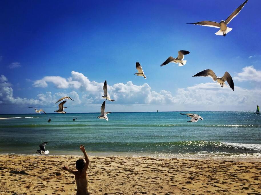 Apartment Mayalun 3c Playa del Carmen