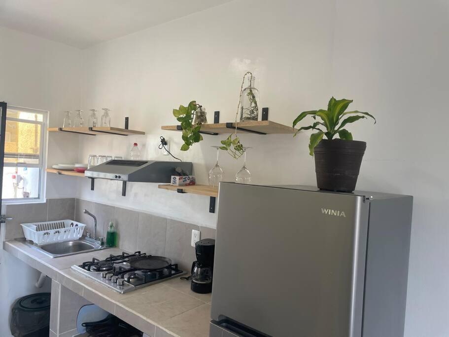 Apartamento Valentina Iii; Departamento Entero Con Amenidades Playa del Carmen