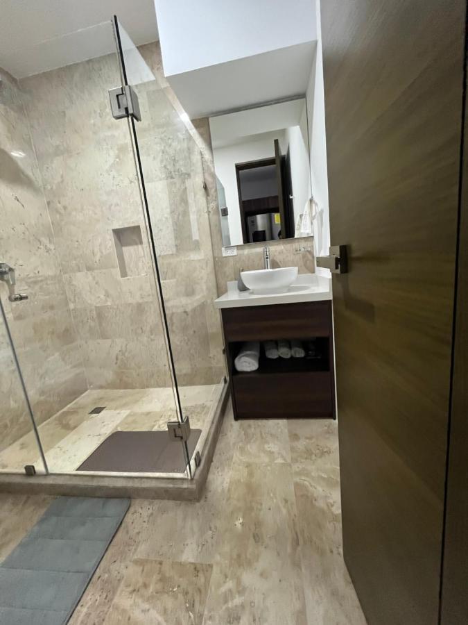 Menesse Midtown 2 206 Y 209 Apartment