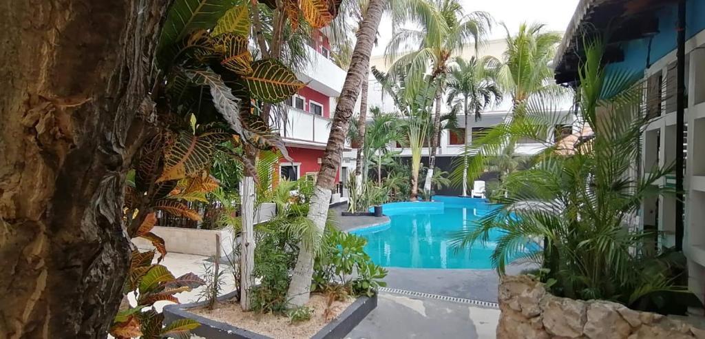 Beach Energy By Bfh Hotel Playa del Carmen