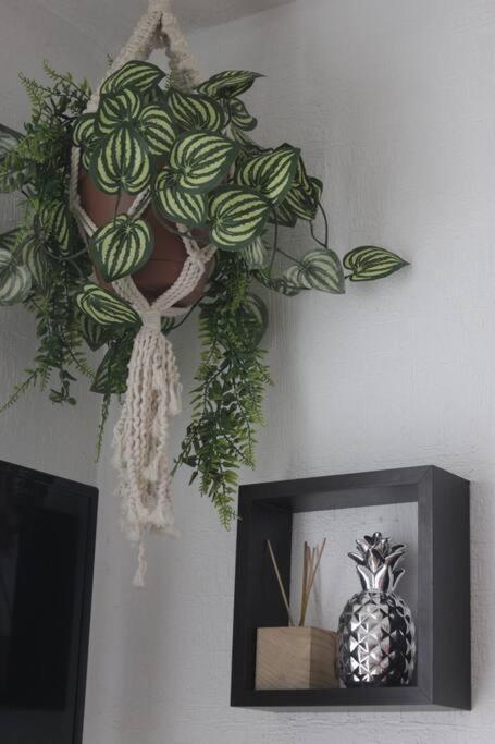 Departamento Tropical En Apartment *