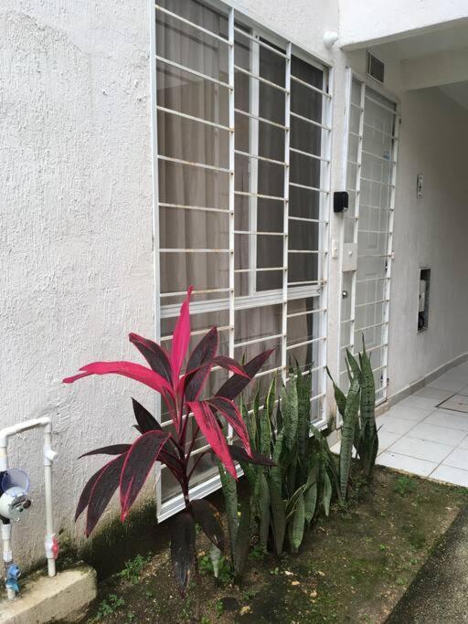 Apartment Departamento Tropical En *