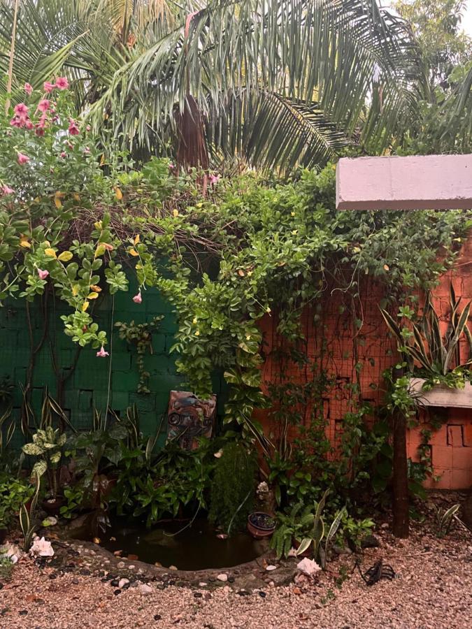 Casa Oasis 777 Homestay Playa del Carmen