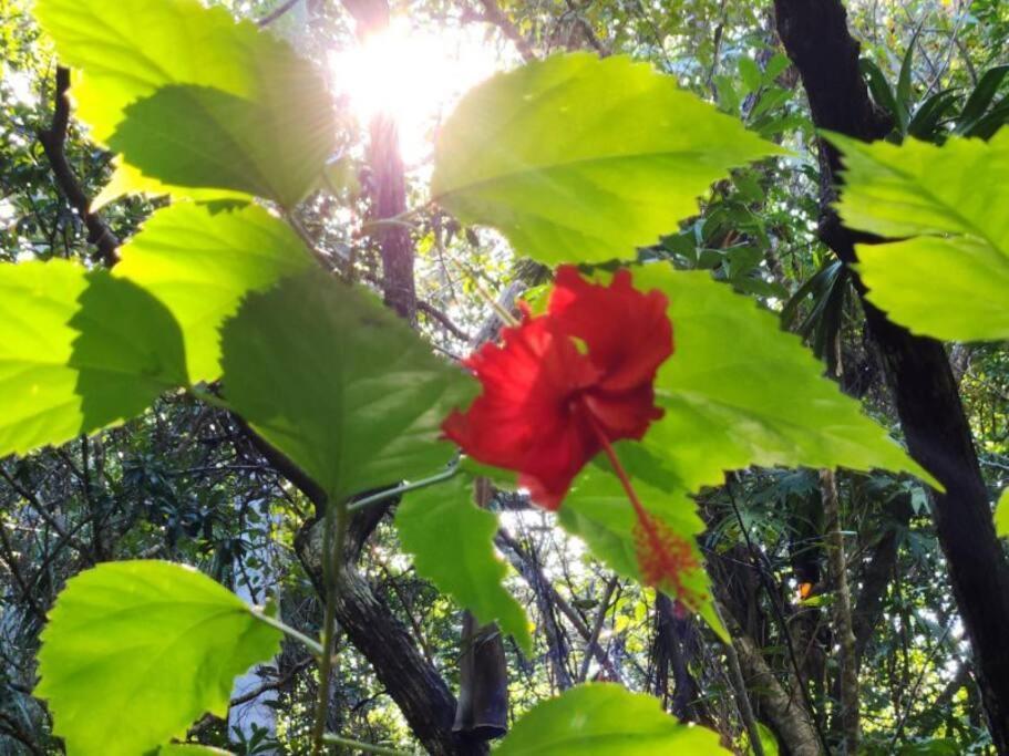 Holiday home Casa De La Selva-jungle Getaway With Cenotes Playa del Carmen