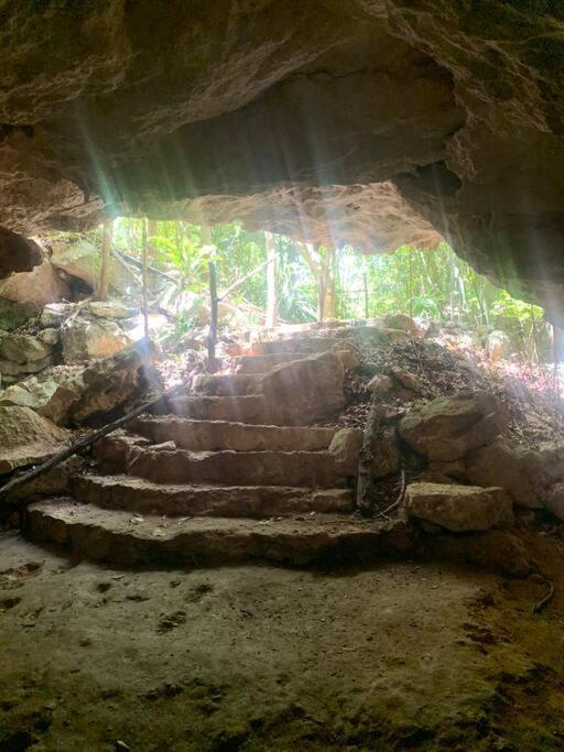 Casa De La Selva-jungle Getaway With Cenotes Holiday home