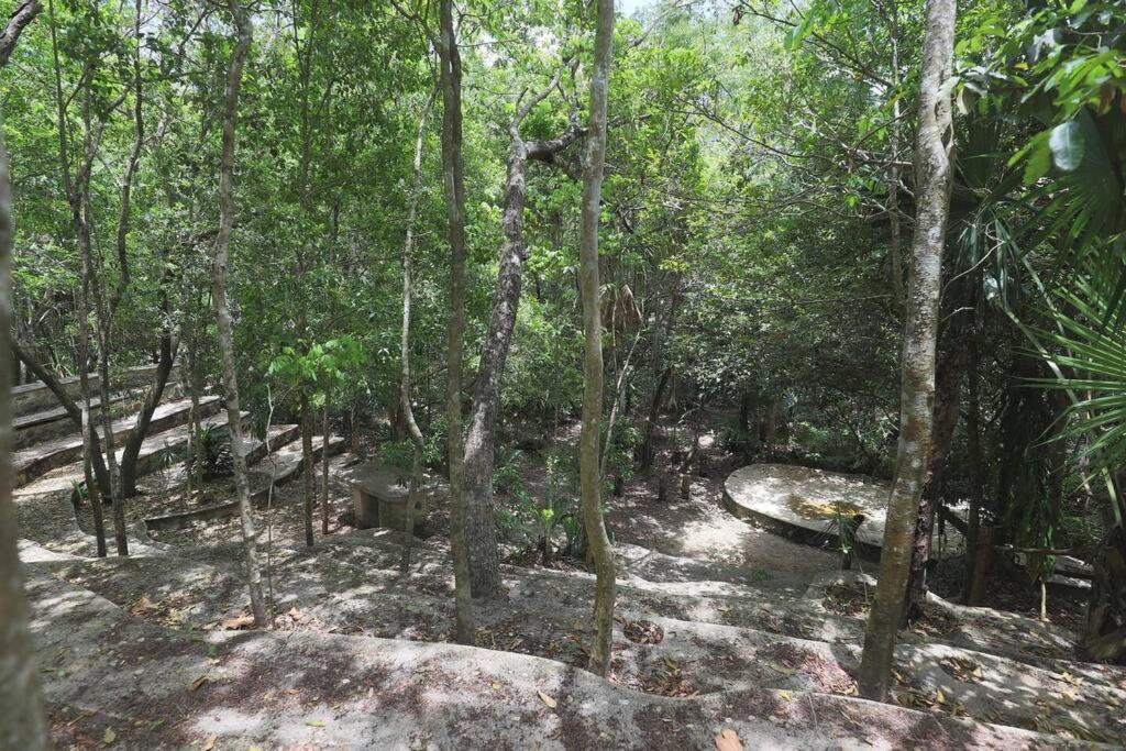 Holiday home Casa De La Selva-jungle Getaway With Cenotes Playa del Carmen