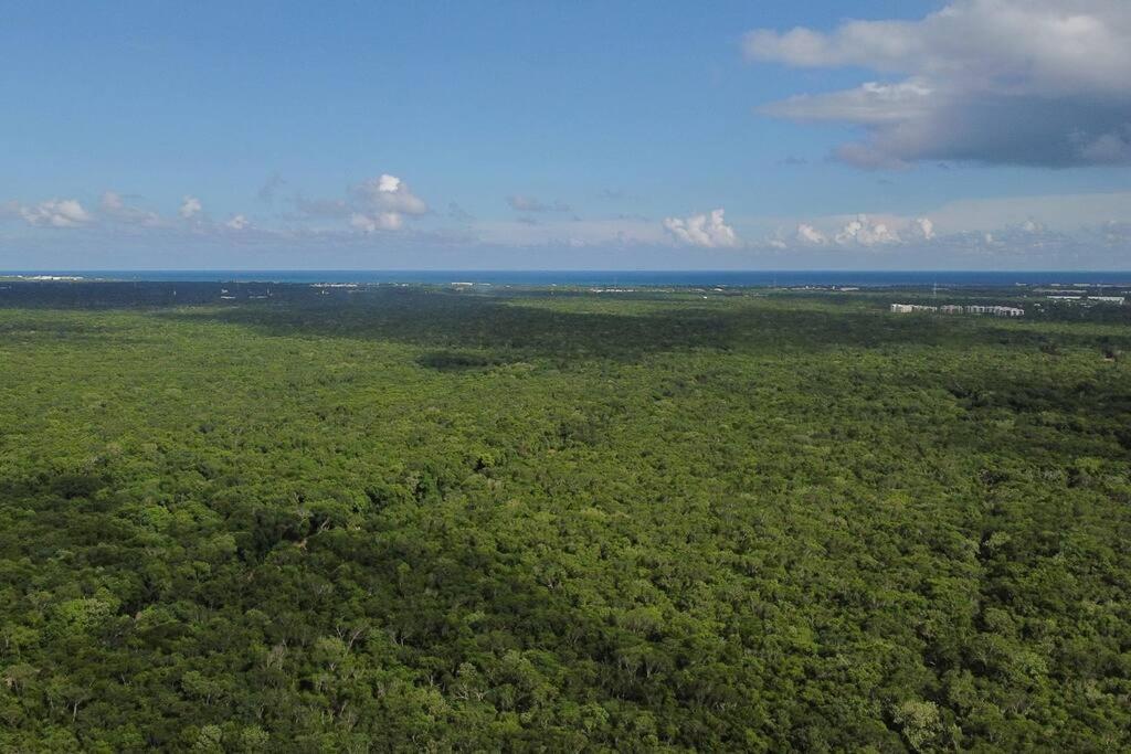Casa De La Selva-jungle Getaway With Cenotes