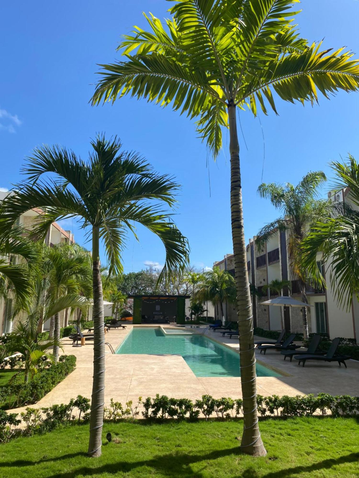 Apartment Cozy Poolside