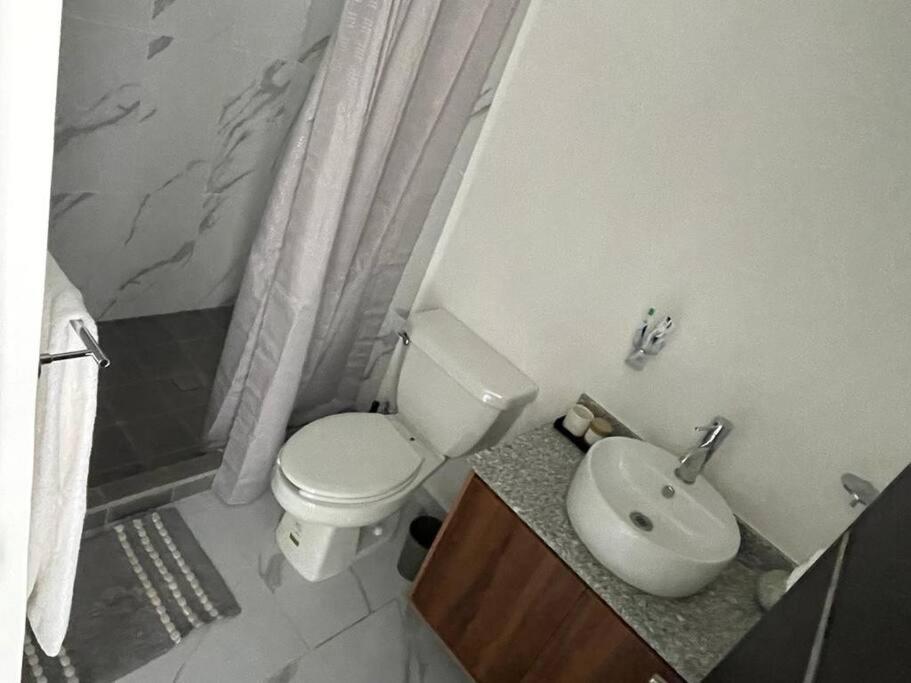 Appartement Lizard