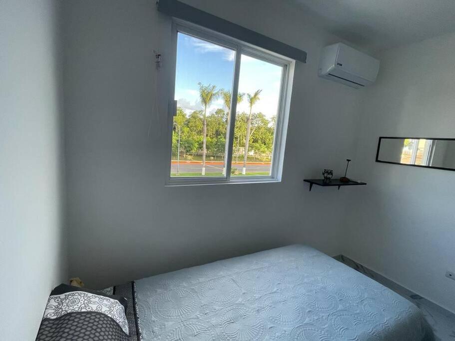 Lizard Appartement Playa del Carmen