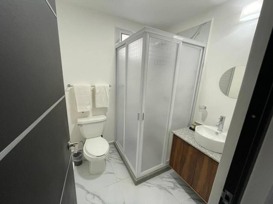 Lizard Appartement