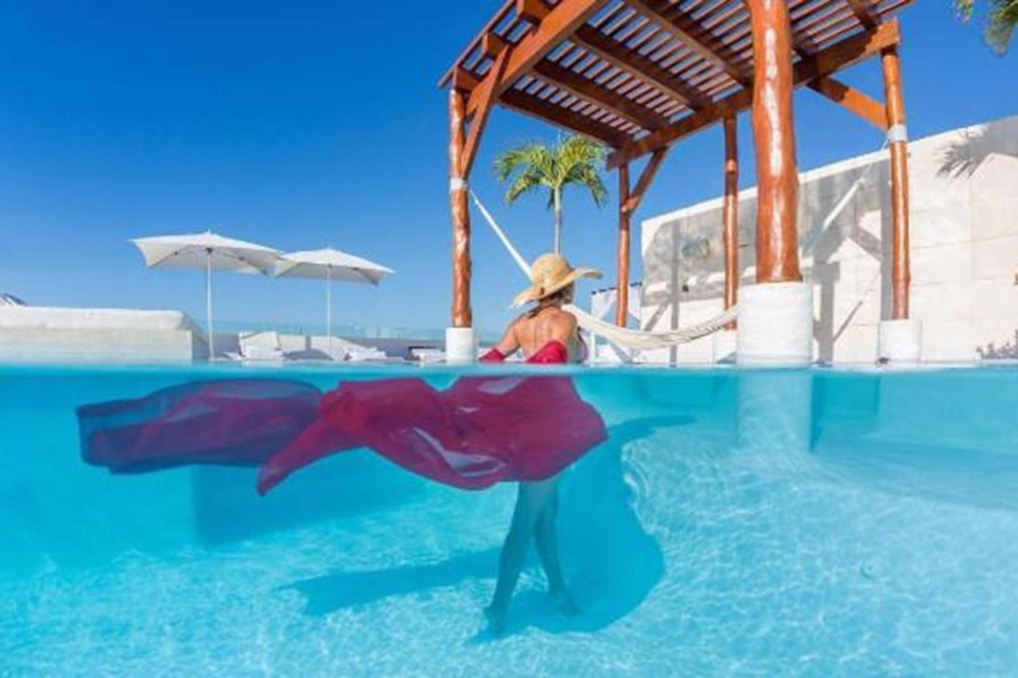 The Palm (adults Only)
