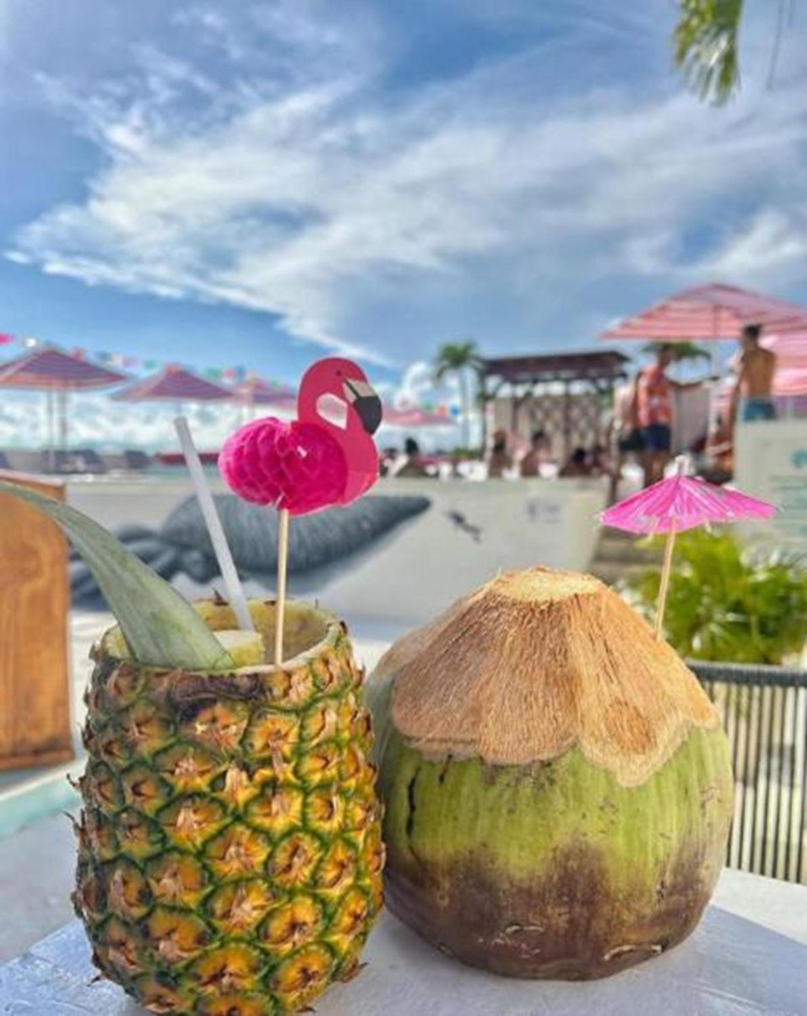 The Palm (adults Only) Hotel
