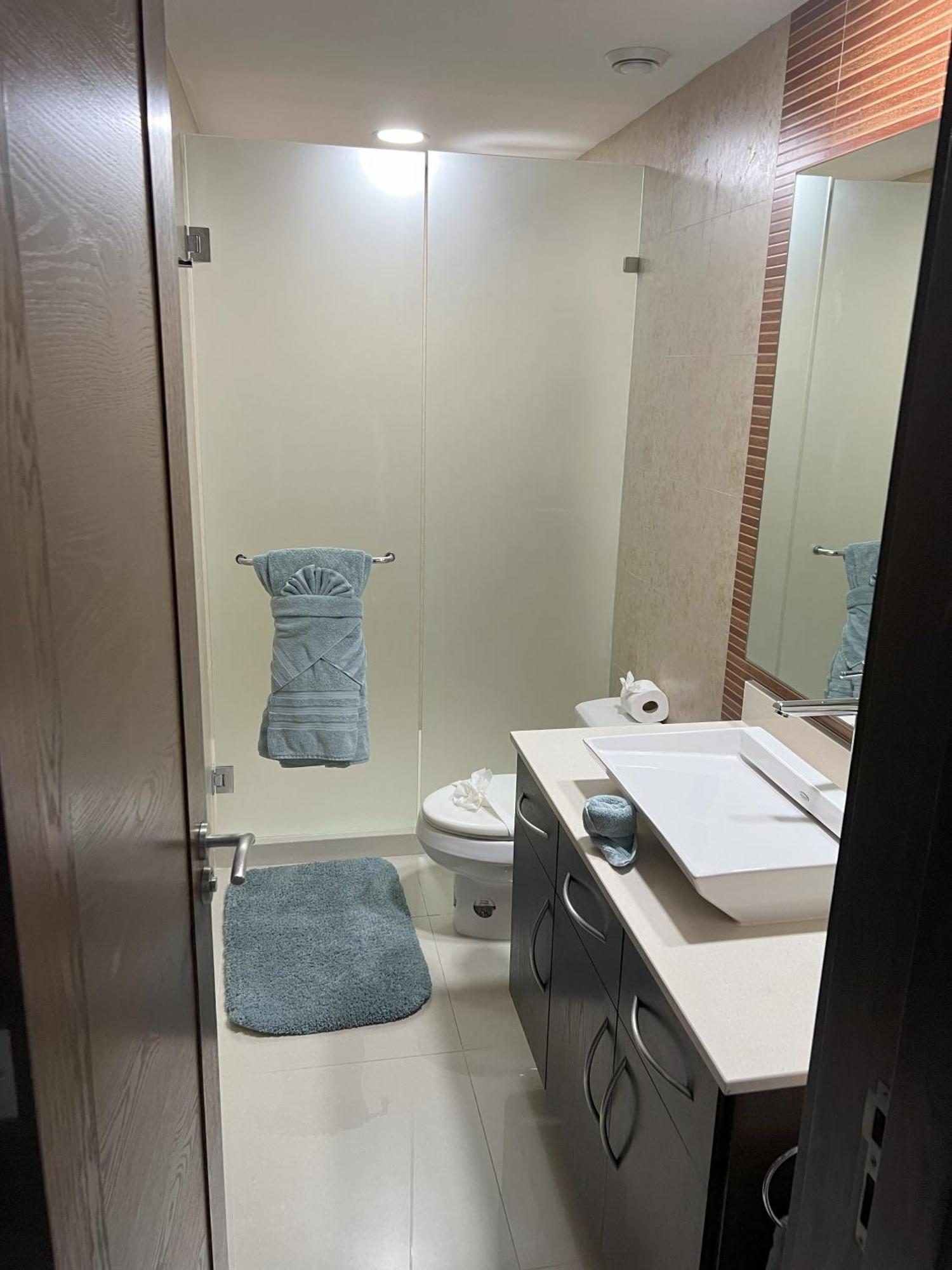 Brand New And Amazing Penthouse! Apartment
