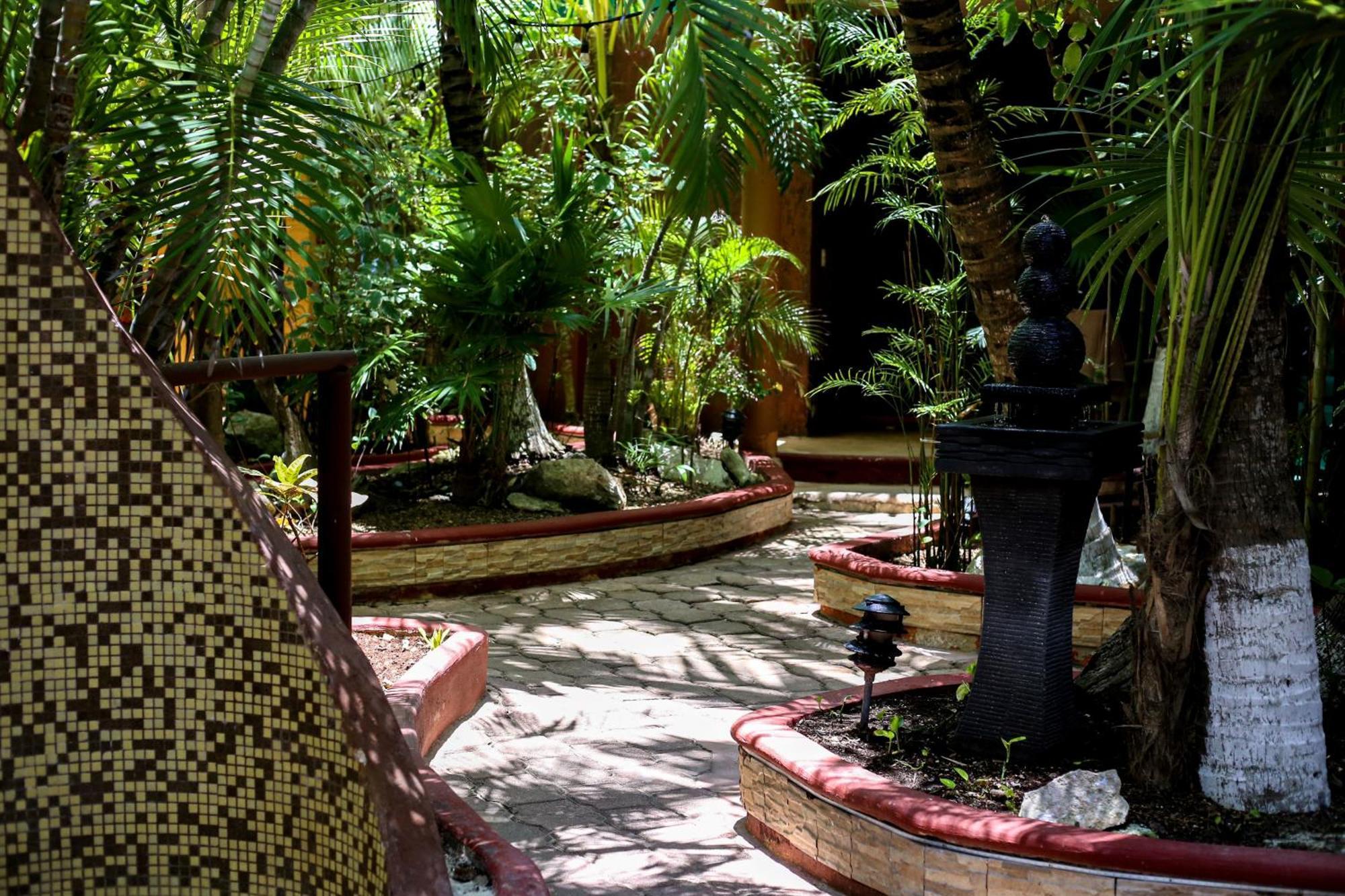 Cocos Adults Only 3*