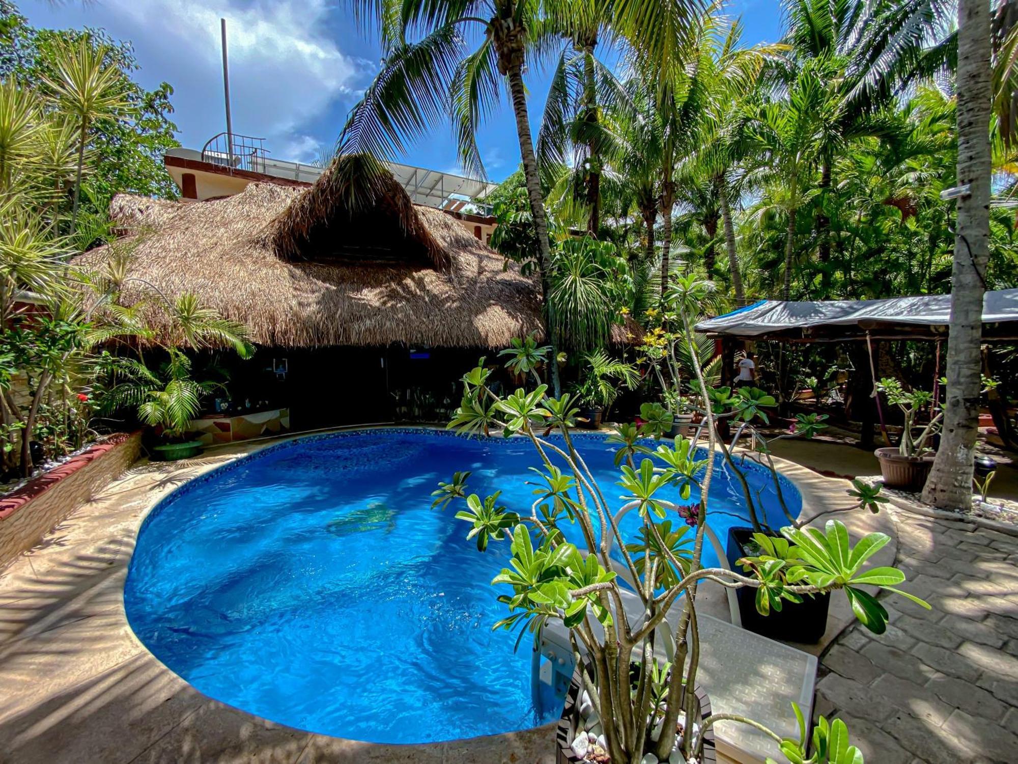 Cocos Adults Only 3*