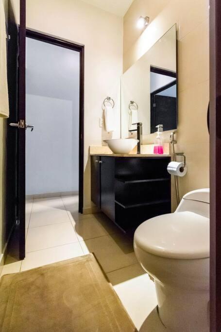 Cenote Penthouse Terraza & Jacuzzi Panoramicos, Muy Amplio, 2 Pisos Tu Uso Personal Y Exclusivo, 3 Recamaras, Excelente Ubicacion, La Playa Y La Quinta Av Caminando A 10 Minutos, Cerca De Restaurantes, Bares, Bancos, Nomadas Digitales 150 Mbps Playa del Carmen