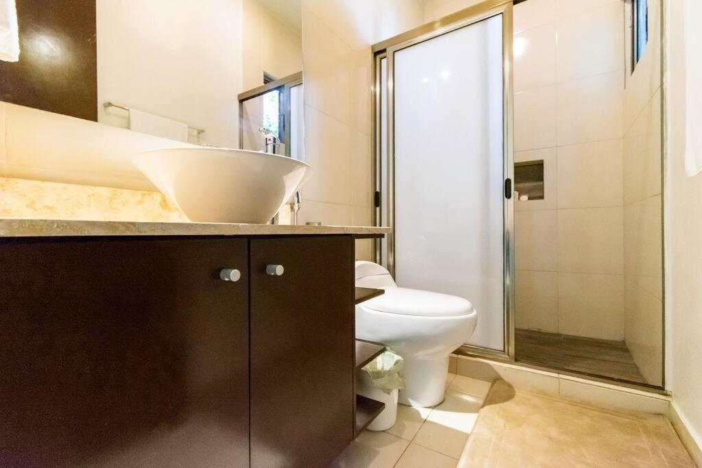 Cenote Penthouse Terraza & Jacuzzi Panoramicos, Muy Amplio, 2 Pisos Tu Uso Personal Y Exclusivo, 3 Recamaras, Excelente Ubicacion, La Playa Y La Quinta Av Caminando A 10 Minutos, Cerca De Restaurantes, Bares, Bancos, Nomadas Digitales 150 Mbps