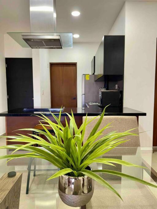 Appartement Lo Mejor En Playa del Carmen