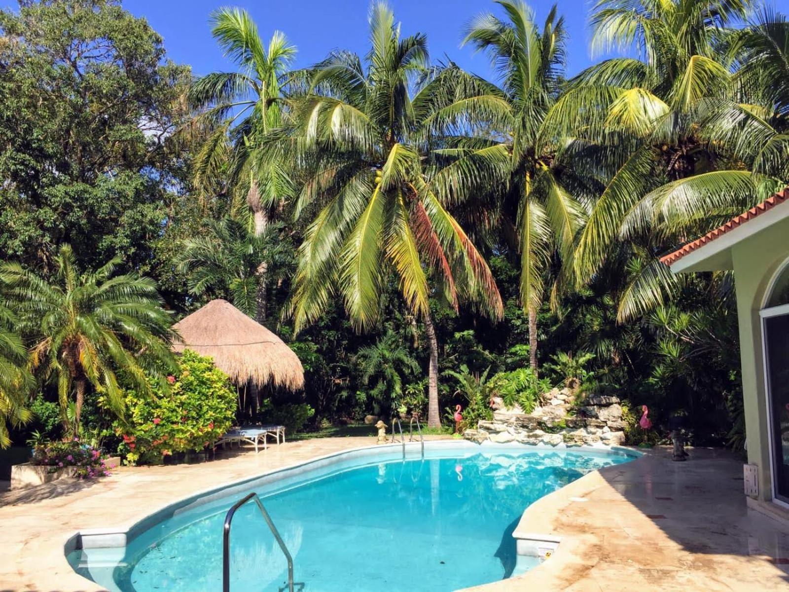 Casa Beard, Spacious With High Speed Wifi & Pool. Playa del Carmen