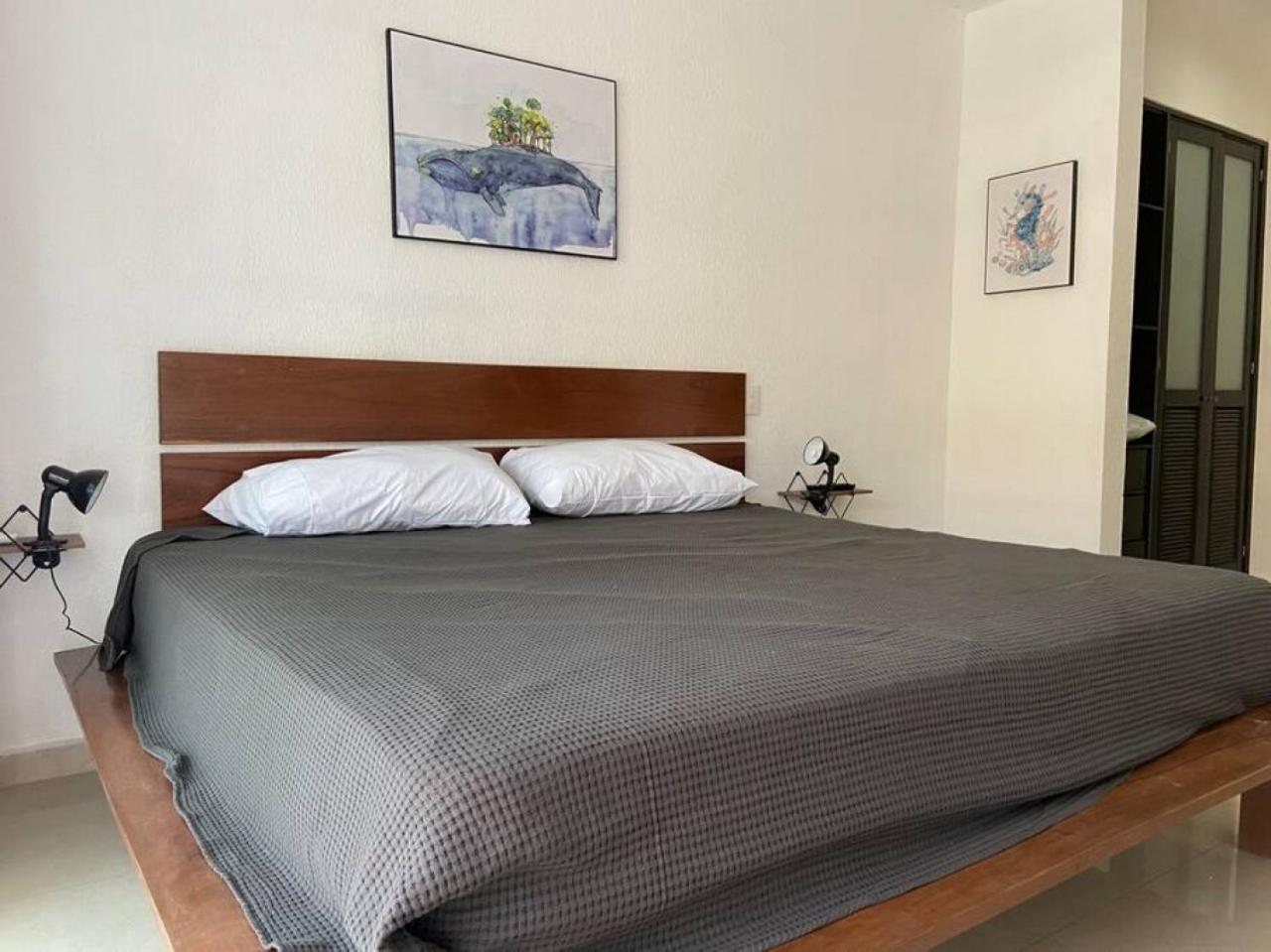 Apartment Charming 2br Downtown. Caribbean Allure
