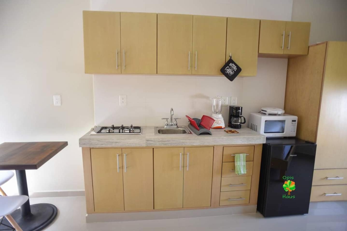 Opis Haus Apartment