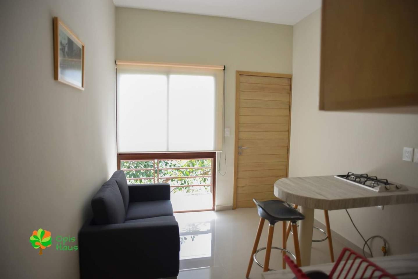 Opis Haus Apartment *
