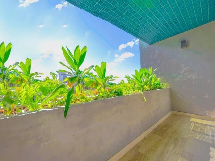 Apartment Estudio Centrico Entre Av. 10 Y 5ta Av.